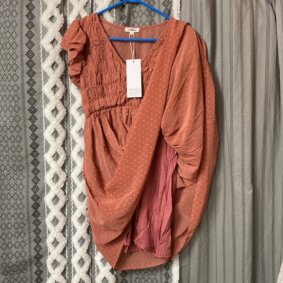 GeeGee Dress - SZ Medium - Terracotta color dress w/lining, swiss dot fabric - Picture 5 of 11